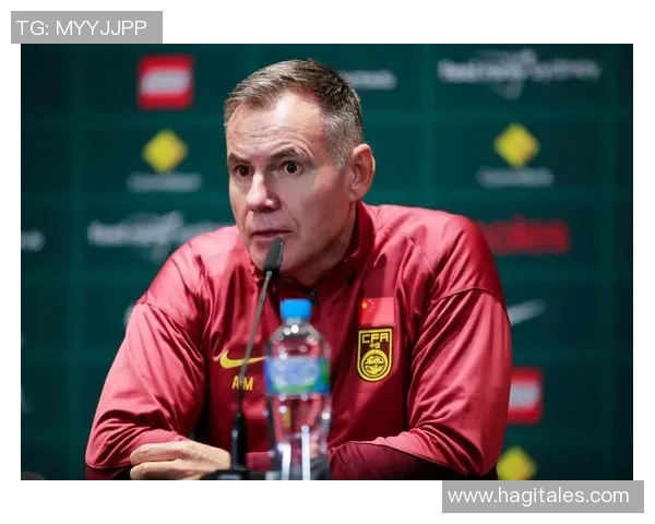 2017年奥地利与芬兰足球友谊赛精彩回顾与分析