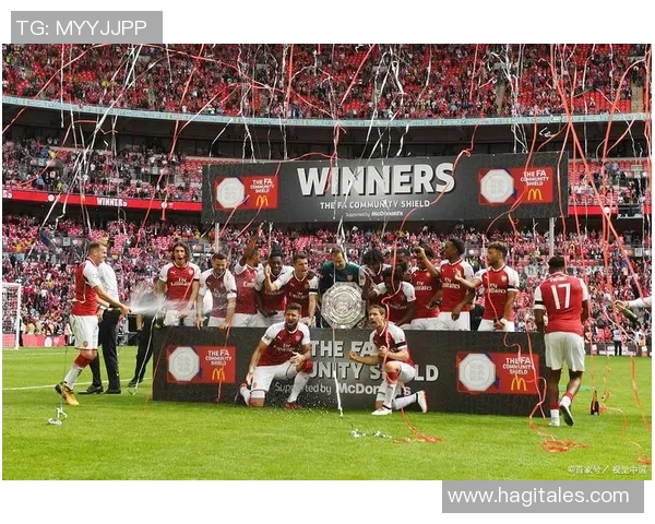 京多安的足球之路：从德甲明星到英超冠军的辉煌历程与未来展望