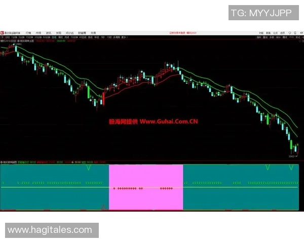 交易特例解析与实务应用探讨助力投资决策与风险管理
