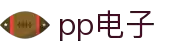 PP电子(中国集团)有限公司官网